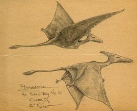 sketch of the two pterosaurs observed by Eskin Kuhn in Cuba