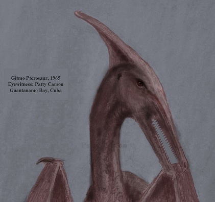 sketch, by eyewitness, of the Rhamphorhynchoid pterosaur of eastern Cuba