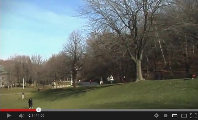 hoax video shows shadows going to the left on the right side of the meadow