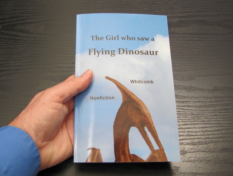 Hand holds book "The Girl who saw a Flying Dinosaur"