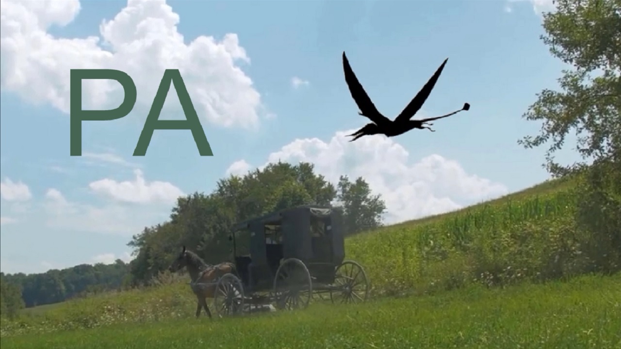 black ropen-pterodactyl diving toward horse-and-buggy