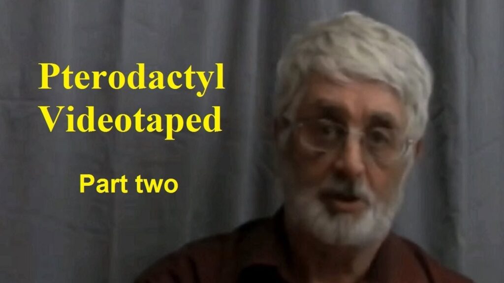 Youtube thumbnail for video "Pterodactyl Videotaped" Part two